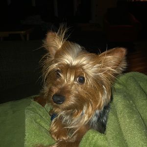 Meet your Posher, Chris